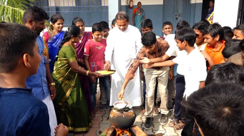 montfort school pongal celebrations