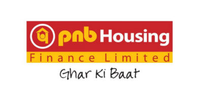 pnb housing finance financial results