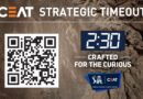 ceat ipl strategic timeout board