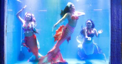 mermaid show in chennai