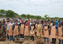 Thryve Digital plants 2500 saplings in Chennai under its ‘A Tree for Every Thryvian’ initiative