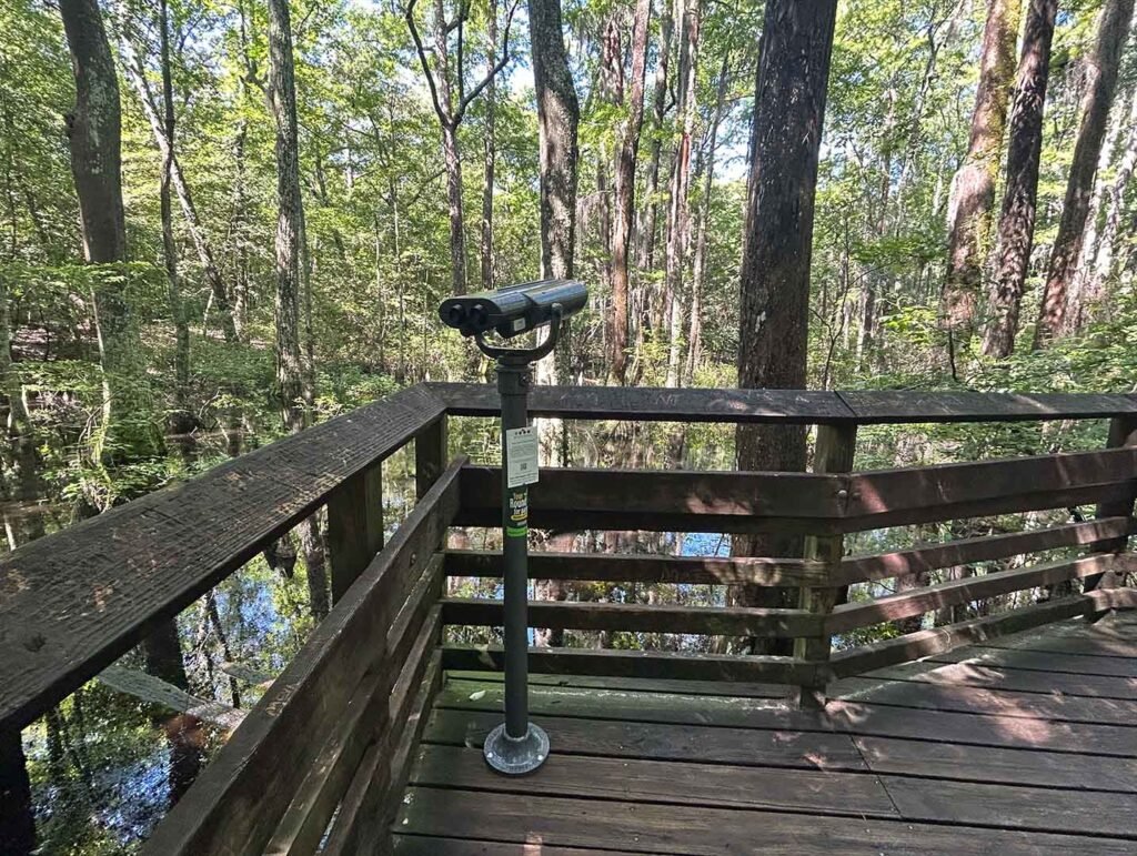 virginia beach tourism First Landing State Park