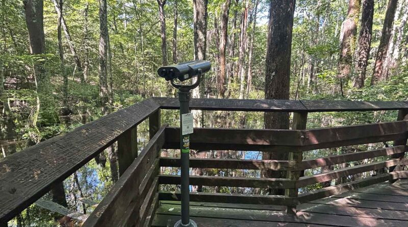 virginia beach tourism First Landing State Park