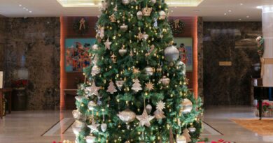 Christmas Tree at Taj Coromandel