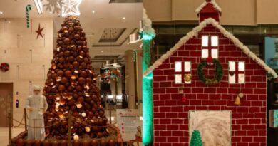 Westin chennai christmas tree lighting