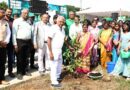 tree-saplings-plantation-at-madha-college