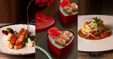 valentines day celebrations at taj coromandel chennai