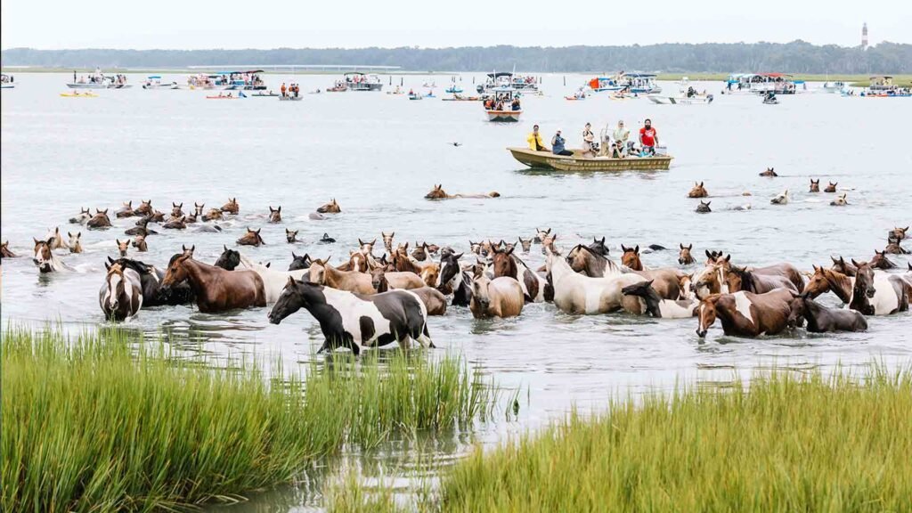 virginia tourist attractions