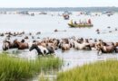 virginia tourist attractions