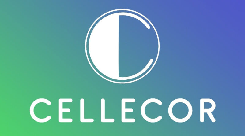 Cellecor Gadgets Limited