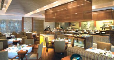 anise taj coromandel