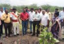 NTT DATA and SankalpTaru Foundation