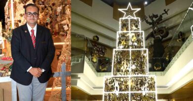 hyatt regency chennai christmas tree lighting