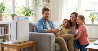 Air Purifier Searches Surge