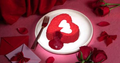 Valentines Day Red Velvet Lava Bento Cake