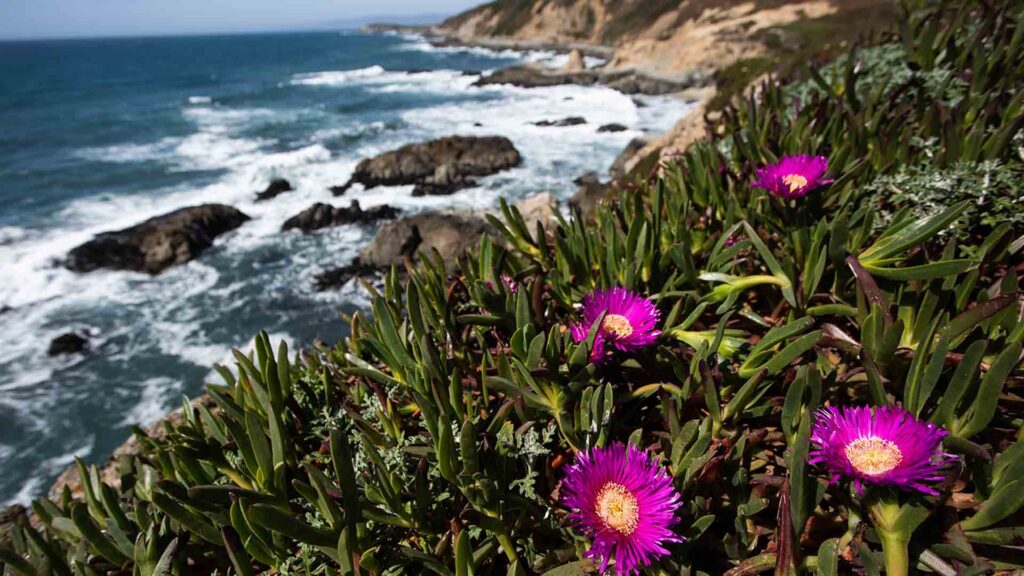 BodegaBay_SonomaCoast, Credit- Visit California & MaxWhittaker