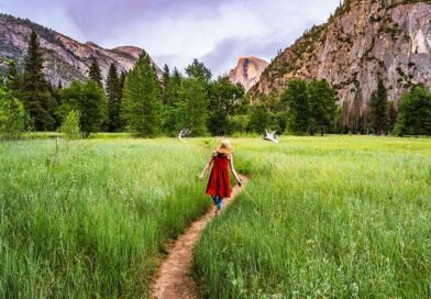 California National Parks