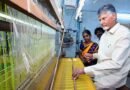 chandrababu naidu launches netanna sevalo cheme handloom day